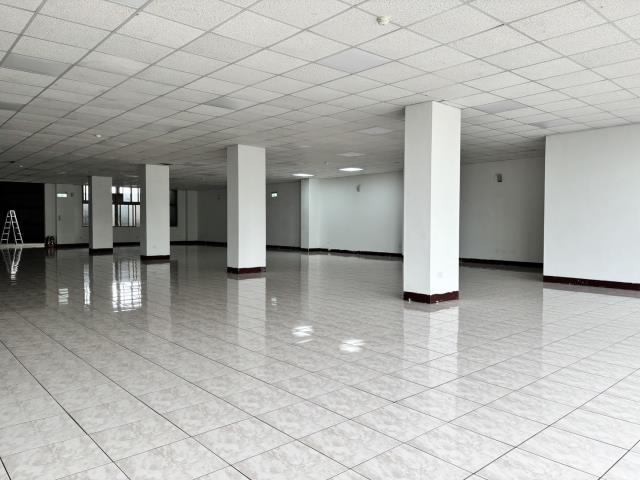 蘆竹廠房-1