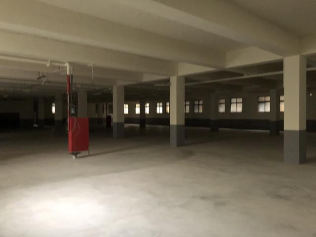 桃園八德廠房-0