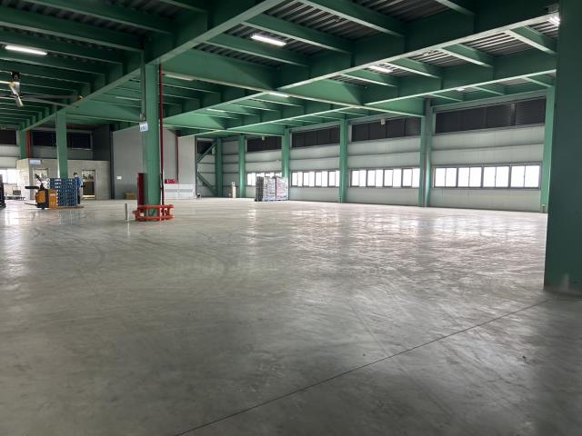 桃園大園廠房-2