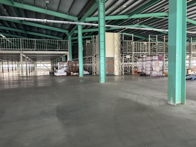 桃園大園廠房-3