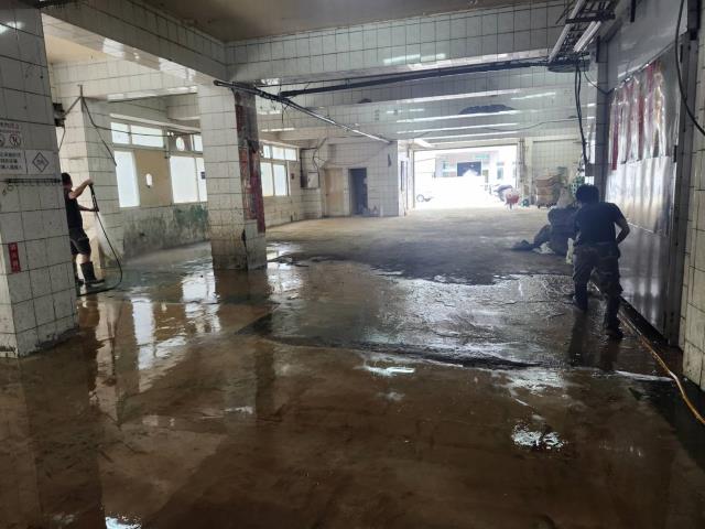 桃園大園廠房-4