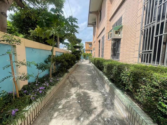 桃園大園廠房-2