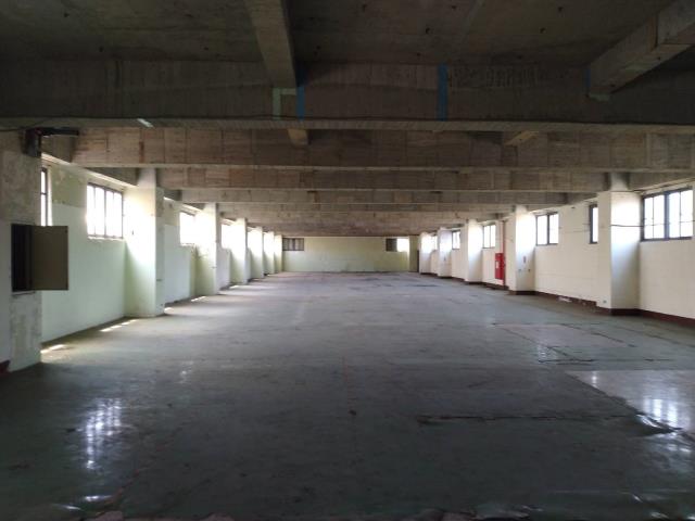 桃園大園廠房-2