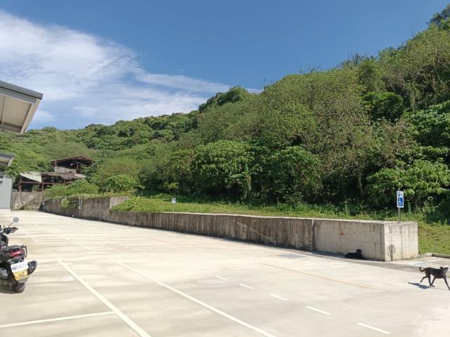 樹林廠房-1