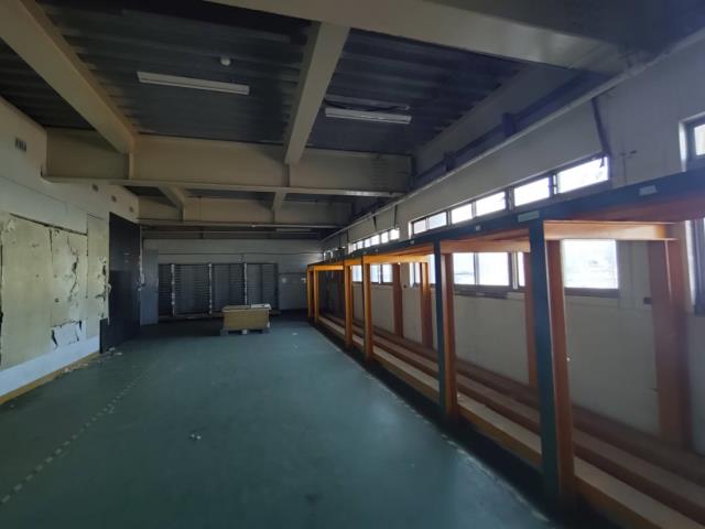 新北樹林廠房-1