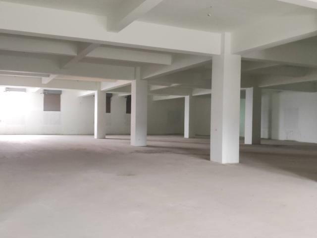 桃園八德廠房-0