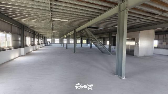 桃園大園廠房-0