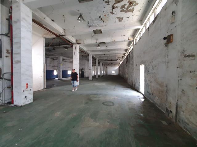 桃園區廠房-0