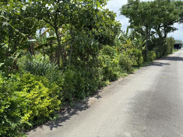 蘆竹農地-0