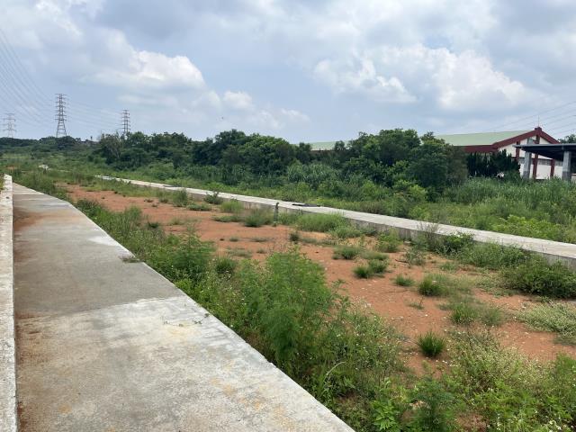 新竹關西農地-1